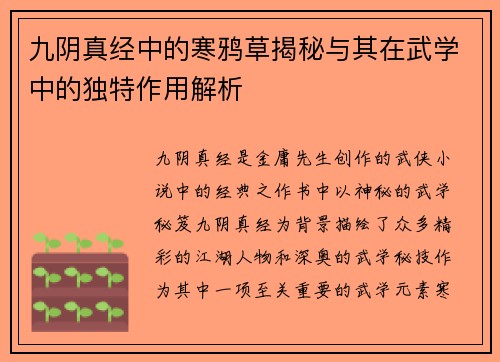 九阴真经中的寒鸦草揭秘与其在武学中的独特作用解析